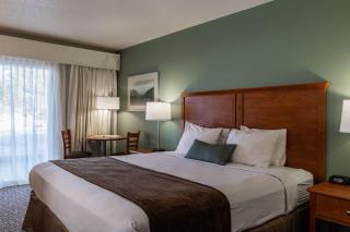 Best Western Buffalo Ridge Inn Near Mt Rushmore - 4