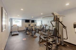 Best Western Plus Toronto Airport Hotel - Mississauga - 6