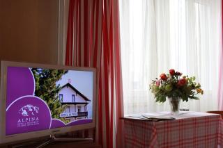 Alpina Hotel - Interlaken - 9