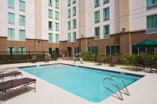 Hampton Inn Houston Near the Galleria - Houston - 6
