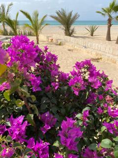 Villa Alfredo Marchetti 13B - 5