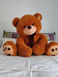 33 Joy Dreams - Sandra - 5