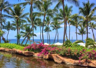 Grand Wailea Resort Hotel & Spa, A Waldorf Astoria Resort - Wailea - 1