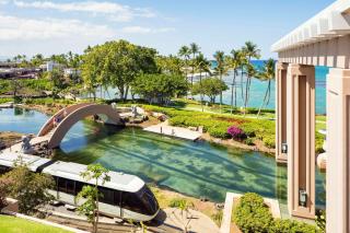 Hilton Waikoloa Village - Waikoloa - 6