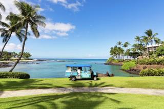 Hilton Waikoloa Village - Waikoloa - 3