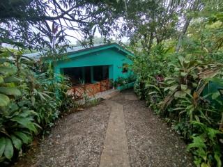 Casita Cecropia - Drake - 6
