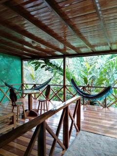 Casita Cecropia - Drake - 7
