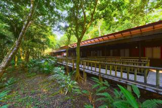 Evergreen Lodge - Tortuguero - 2