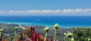 ON TOP Of THE WORLD Garden Studio - Kororo Basin - 0