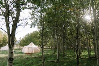 Starlight Retreat Yellowstone - 4