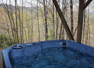 Pinnacle Point by Leatherwood Mountains Resort - Ferguson - 3