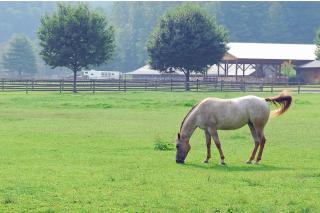 The Last Resort by Leatherwood Mountains Resort - Hogetown - 3