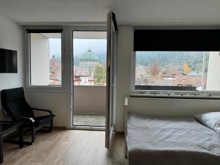 Domview Apartment - St. Blasien - 2