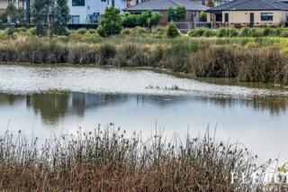 Stunning Lake view New home - Clyde North - 8