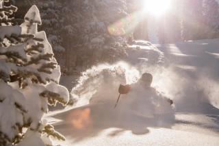 Recently Remodeled 2 Br Condo Condo - 6