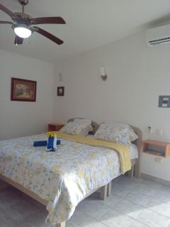 Estudio Coatí Azul en la Isla de Cozumel en el Caribe - 2