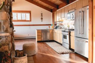 Fairplay Coyote Cabin - 2