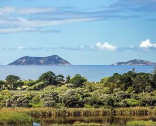 Island House - Albany - 0