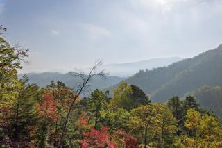Over The Top cabin - 8
