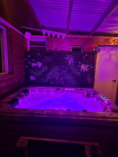 Maison avec piscine chauffée, jacuzzi et sauna 6 chambres - Saint-Paul - 9