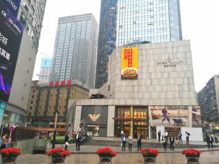 Chongqing Forest Design B&B - 8