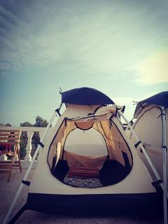 Tentania - Dahab - 6