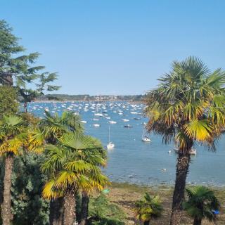 Studiodinardchezanne - 4