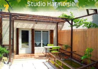 Joli studio avec terrasse, 2km A79, 6km le Pal - 8