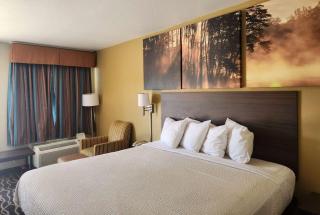 Days Inn by Wyndham Leesville - Leesville - 0