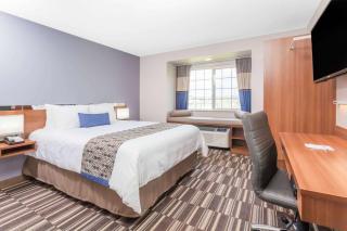 Microtel Inn & Suites Sault Ste. Marie - Sault Ste. Marie - 3