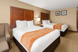 Comfort Inn & Suites Beaverton - Portland West - Beaverton - 1