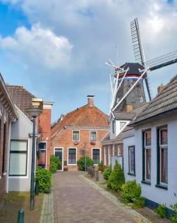 luxury house between the windmills in old center - Winsum - 7