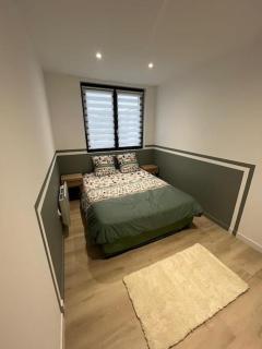 Luxueux 3 Chambres Tout Confort - Maubeuge - 4