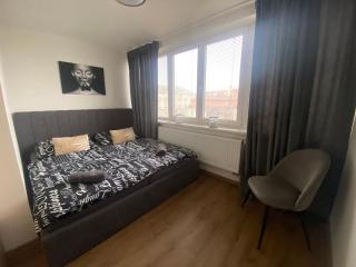 Černý Tulipán - Apartmán 5 - Plzeň - 6