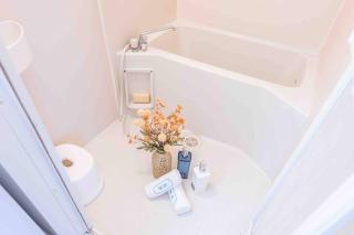 桜の川40 Sugamo 303,Yamanote Line 5 minutes walk,direct access to Ikebukuro, Ueno, Akihabara, free WIFI - Tokyo - 4