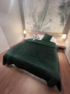 Esprit Palace, coeur de Mulhouse - Mulhouse - 8
