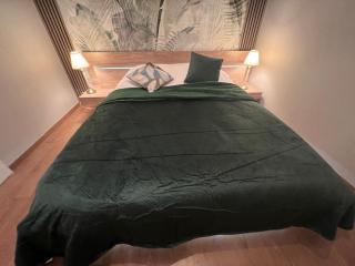 Esprit Palace, coeur de Mulhouse - Mulhouse - 7