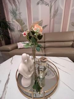 Esprit Palace, coeur de Mulhouse - Mulhouse - 5