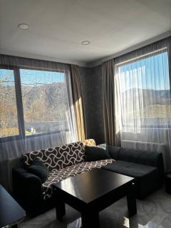 Kesi’s House - Borjomi - 9