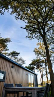 Wellnesshuisje in de Sallandse Heuvelrug - Haarle - 4