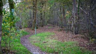 Wellnesshuisje in de Sallandse Heuvelrug - Haarle - 1