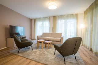 Modern City Apartments - Interlaken - 3