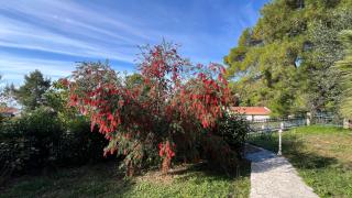 Blue Sky Villa - Brca - 9