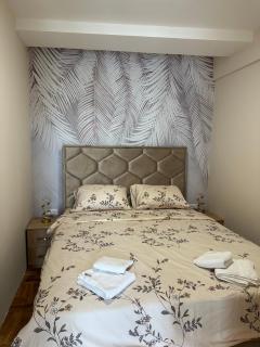Apartman Happy Moments Kraljevo - Kraljevo - 0