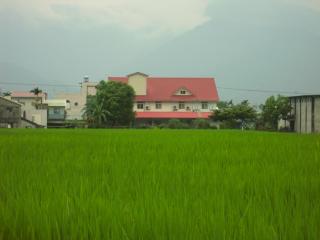 Golden flower Homestay - 7