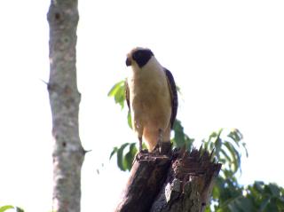 Posada del Cerro - 8