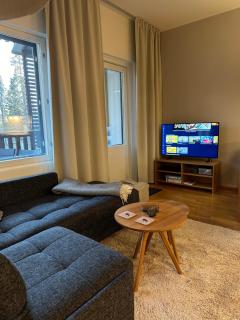 Chalets LumiHelmi Ruka - 1