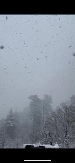 Nomaden Kasol - Kasol - 6