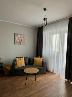 Urban Central Studio with Free Parking - Craiova - 7