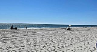 The Ocean Pearl - Myrtle Beach - 0
